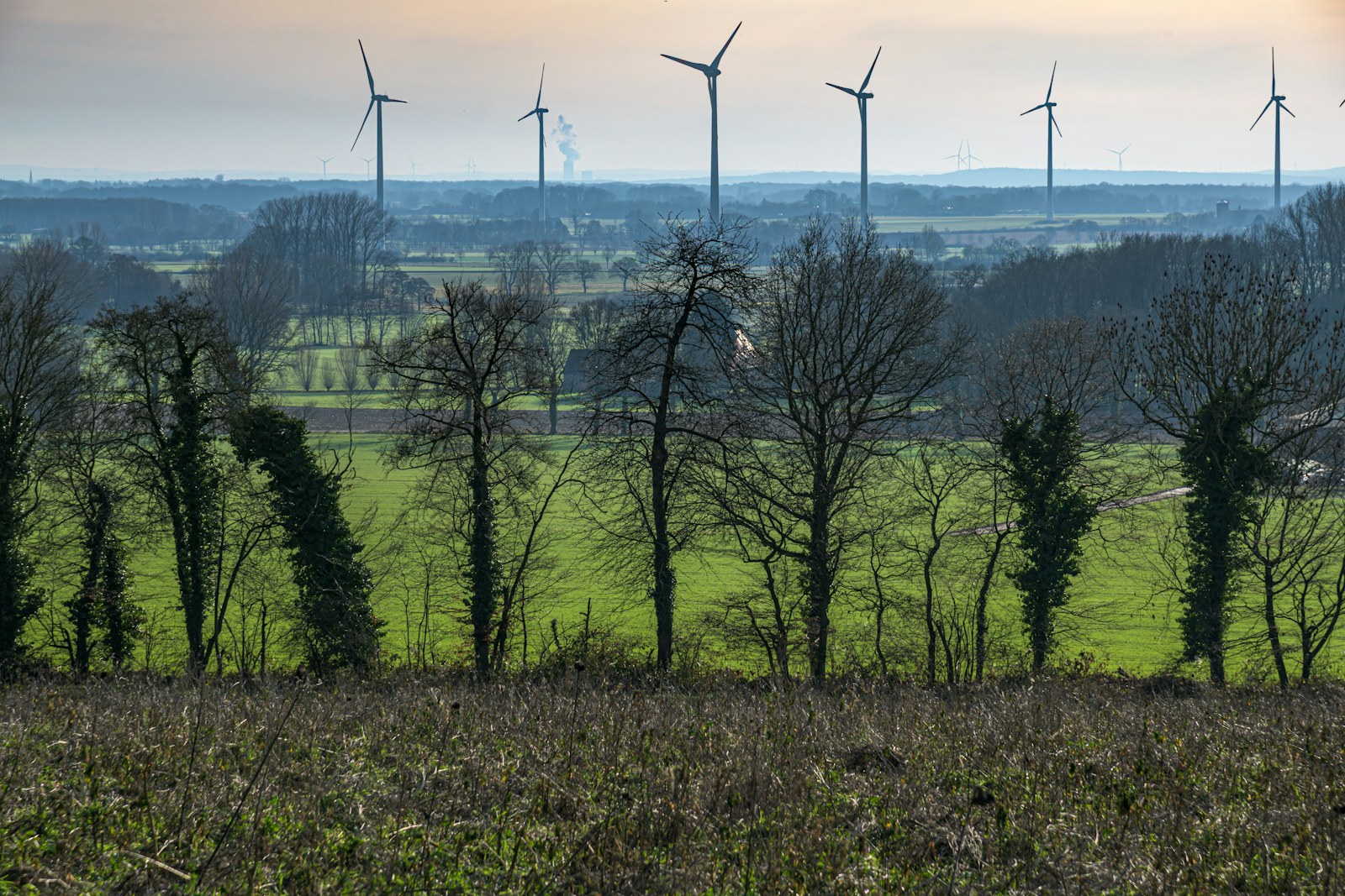 Wind turbines across a green countryside landscape